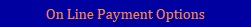 On Line Payment Options